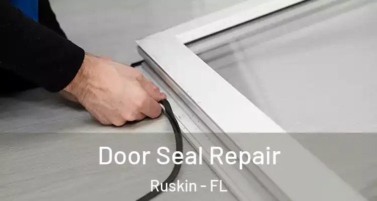  Door Seal Repair Ruskin - FL
