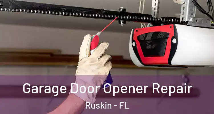  Garage Door Opener Repair Ruskin - FL